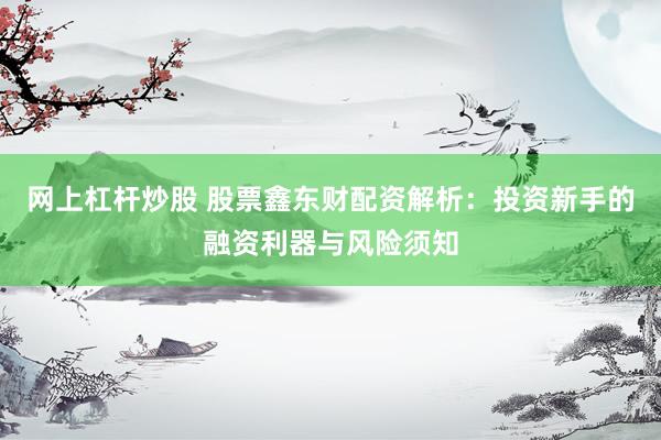 网上杠杆炒股 股票鑫东财配资解析：投资新手的融资利器与风险须知