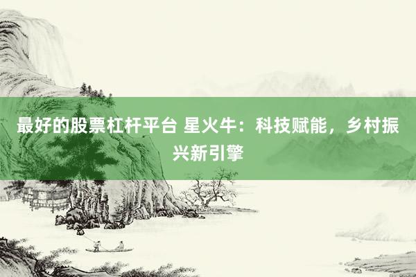 最好的股票杠杆平台 星火牛：科技赋能，乡村振兴新引擎
