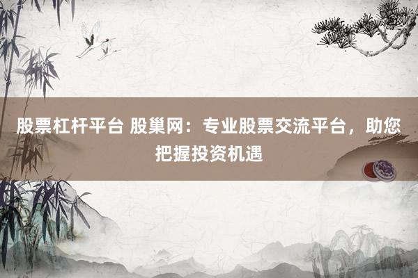 股票杠杆平台 股巢网：专业股票交流平台，助您把握投资机遇