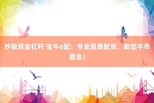 炒股资金杠杆 宝牛e配：专业股票配资，助您牛市掘金！