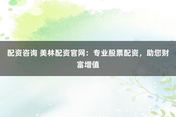 配资咨询 美林配资官网:专业股票配资,助您财富增值