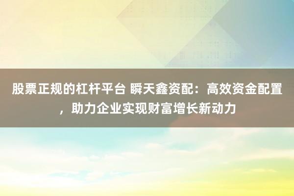 股票正规的杠杆平台 瞬天鑫资配：高效资金配置，助力企业实现财富增长新动力