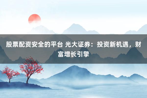 股票配资安全的平台 光大证券:投资新机遇,财富增长引擎