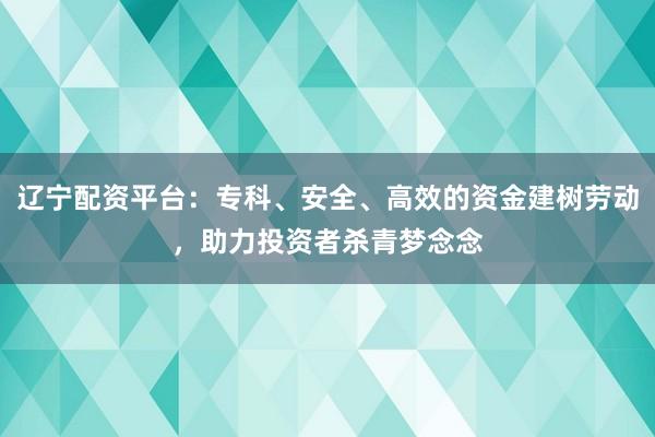 辽宁配资平台:专科、安全、高效的资金建树劳动,助力投资者杀青梦念念