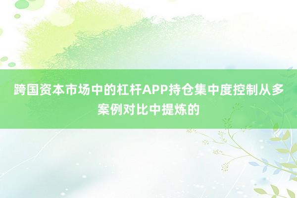 跨国资本市场中的杠杆APP持仓集中度控制从多案例对比中提炼的