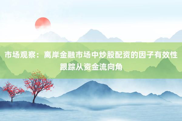 市场观察：离岸金融市场中炒股配资的因子有效性跟踪从资金流向角