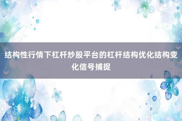结构性行情下杠杆炒股平台的杠杆结构优化结构变化信号捕捉