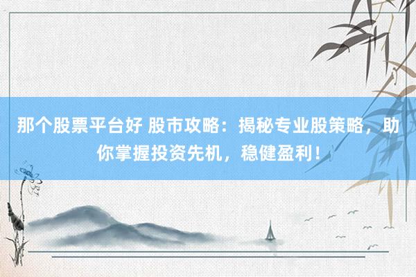 那个股票平台好 股市攻略：揭秘专业股策略，助你掌握投资先机，稳健盈利！