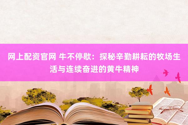 网上配资官网 牛不停歇:探秘辛勤耕耘的牧场生活与连续奋进的黄牛精神