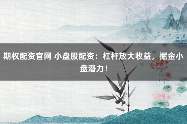 期权配资官网 小盘股配资：杠杆放大收益，掘金小盘潜力！