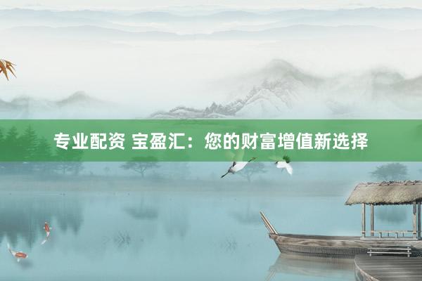专业配资 宝盈汇：您的财富增值新选择