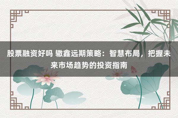 股票融资好吗 辙鑫远期策略：智慧布局，把握未来市场趋势的投资指南