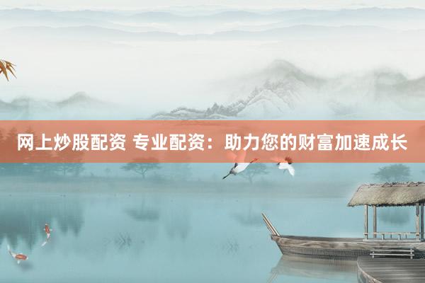 网上炒股配资 专业配资：助力您的财富加速成长