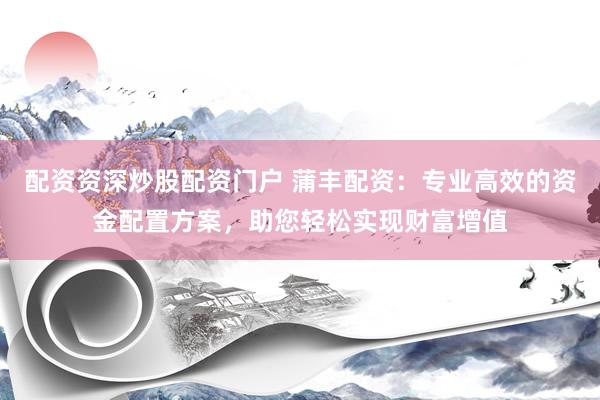 配资资深炒股配资门户 蒲丰配资：专业高效的资金配置方案，助您轻松实现财富增值